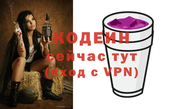 индика Заволжье