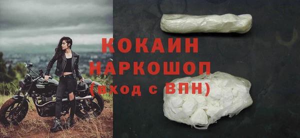 прущие грибы Нефтекумск