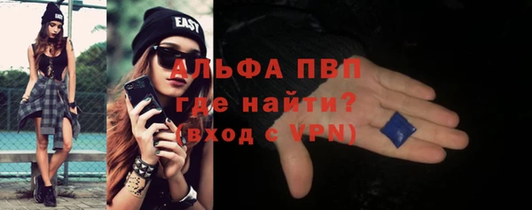 прущие грибы Нефтекумск