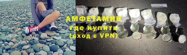 прущие грибы Нефтекумск