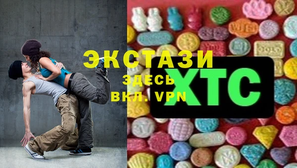 шишки Новозыбков