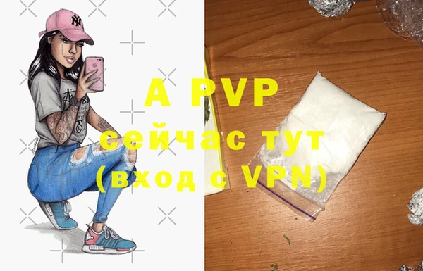 шишки Новозыбков