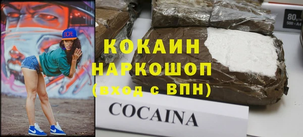 шишки Новозыбков
