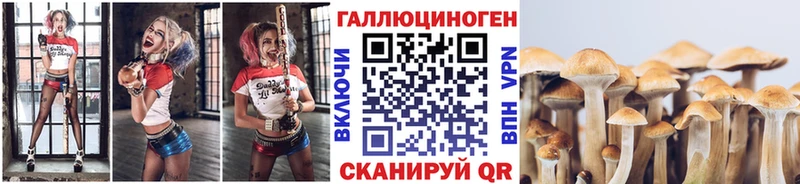 Псилоцибиновые грибы прущие грибы  Макушино 